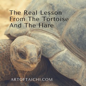 The Real Lesson From The Tortoise And The Hare