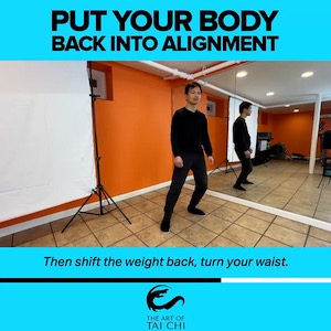Put Your Body Back Into Alignment