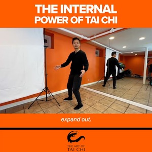 The Internal Power Of Tai Chi