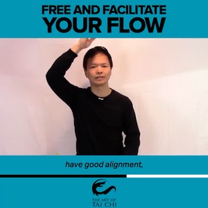 Free And Facilitate Your Flow with Tai Chi