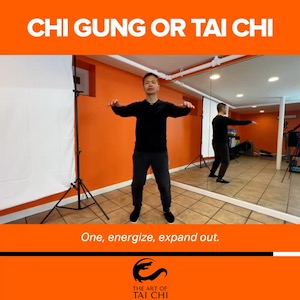 Chi Gung or Tai Chi