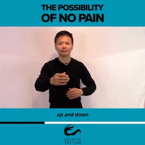 The Possibility Of No Pain