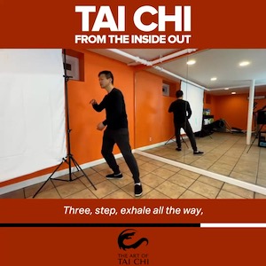 Tai Chi From The Inside Out